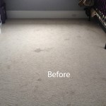 Cranberry Juice Stain Removal Schaumburg A