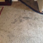 Dirty-Carpet-Schaumburg-IL