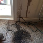Oil-Stain-Removal-Before-Schaumburg