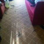 Schaumburg-Carpet-Clean-before