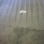 Schaumburg-Carpet-Cleaning-Carpet-Cleaning