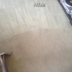 Schaumburg-Carpet-Cleaning-Company
