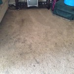 Schaumburg-Dirty-Carpet