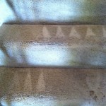 Schaumburg-Stairs-Carpet-Cleaning