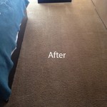 ink stain removal Schaumburg-B